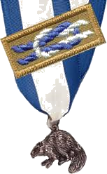 Silver Medal medal and square knot
